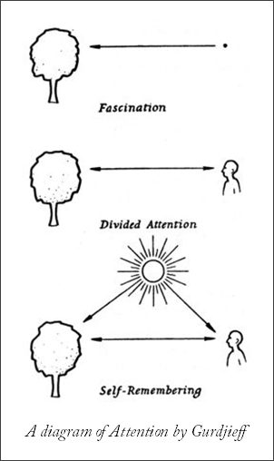 Gurdjieff_attention_diagram